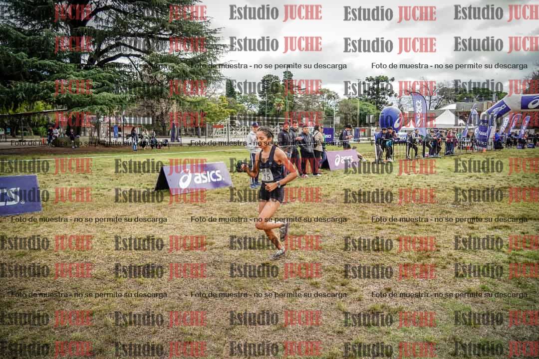 Fotos en el circuito