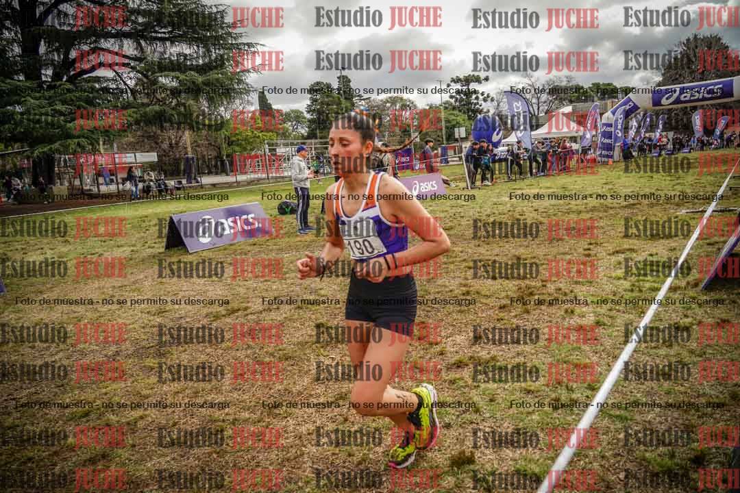 Fotos en el circuito
