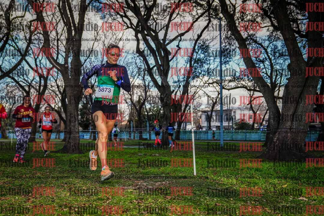 Fotos en el circuito