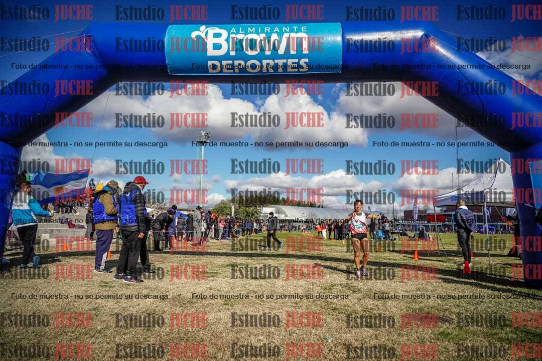 Fotos de las llegadas