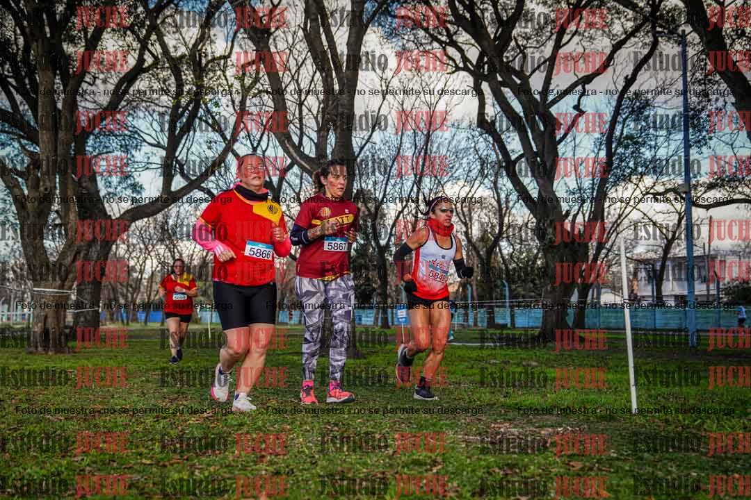 Fotos en el circuito