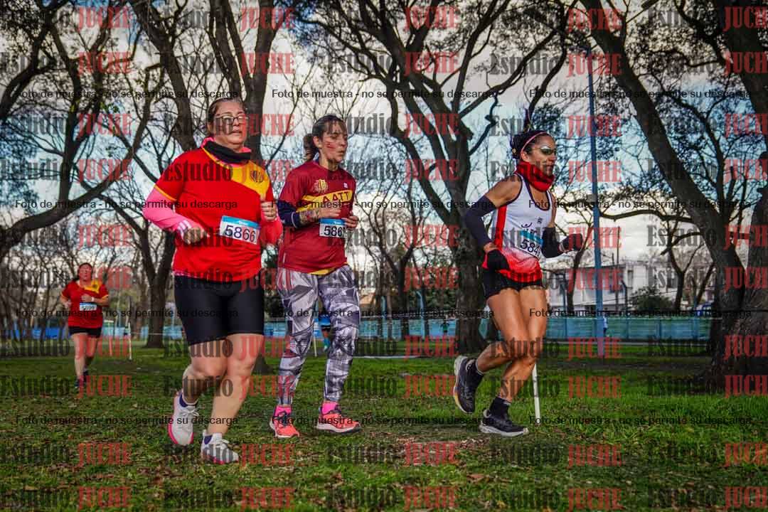 Fotos en el circuito