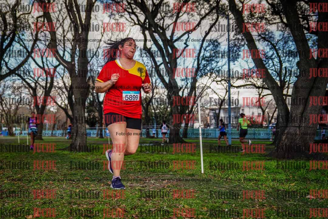 Fotos en el circuito