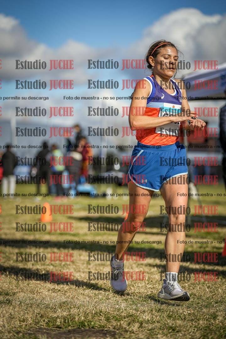 Fotos de las llegadas
