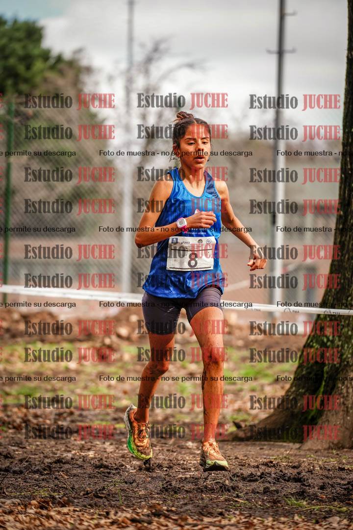 Fotos en el circuito