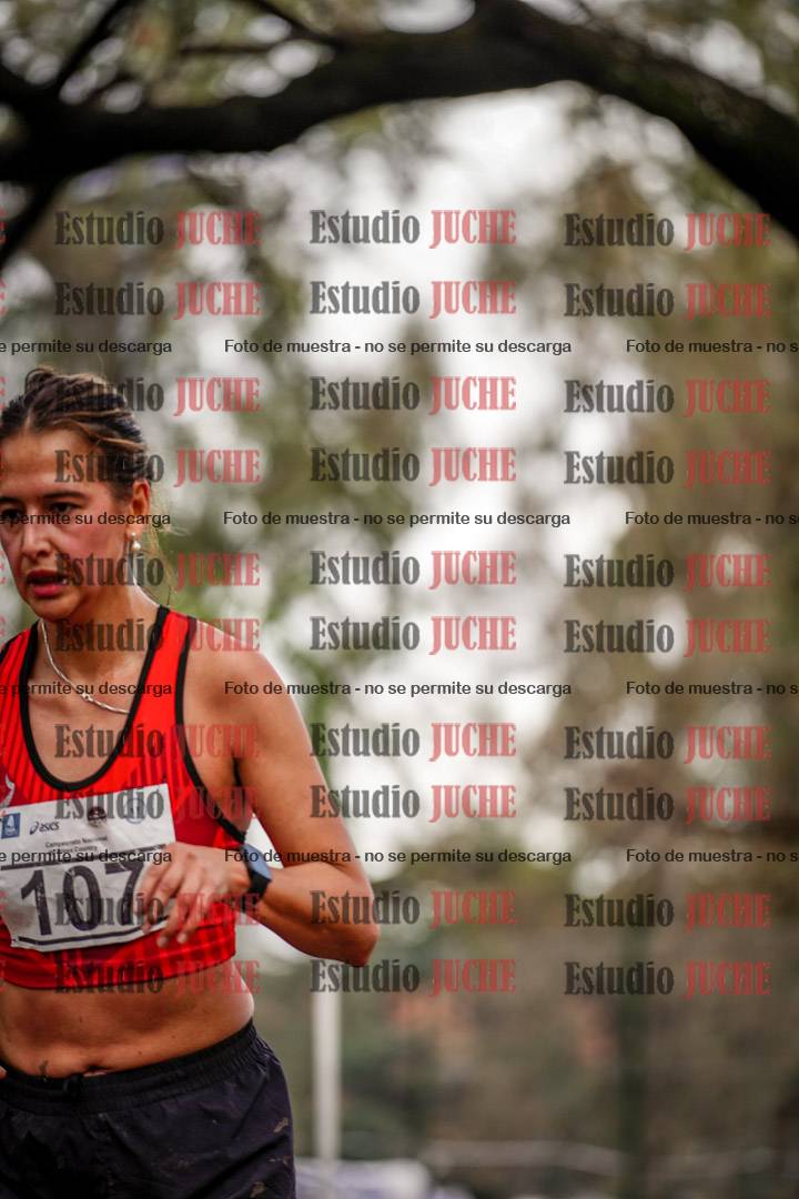 Fotos en el circuito