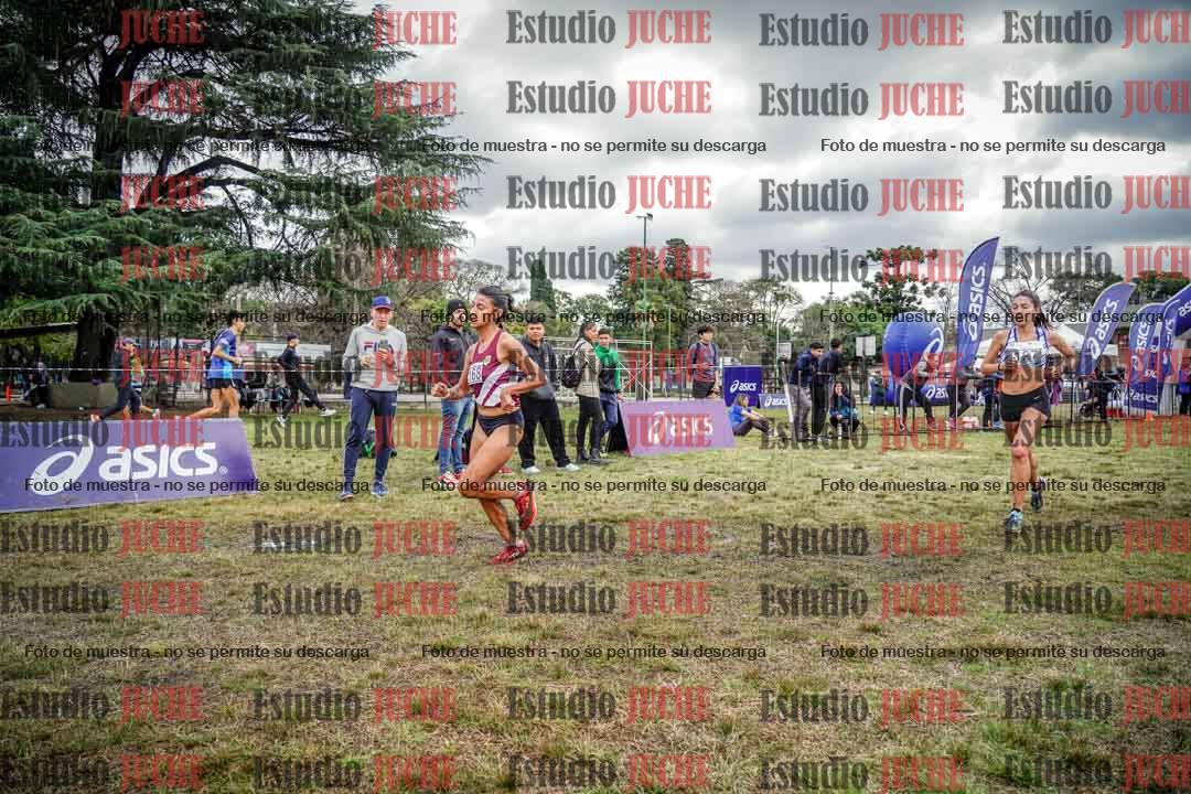 Fotos en el circuito
