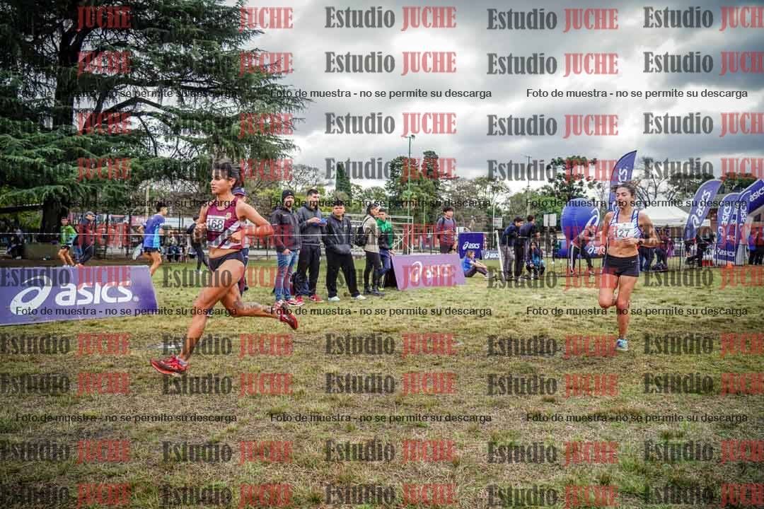 Fotos en el circuito