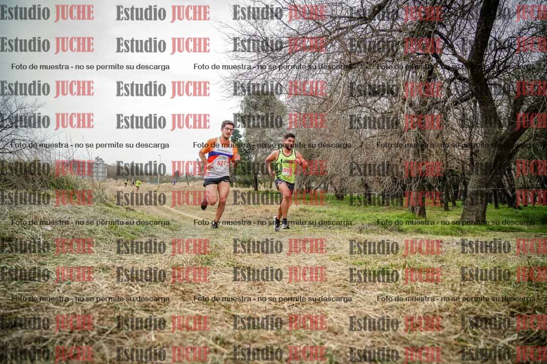 Fotos en el circuito