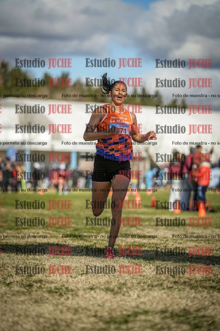 Fotos de las llegadas