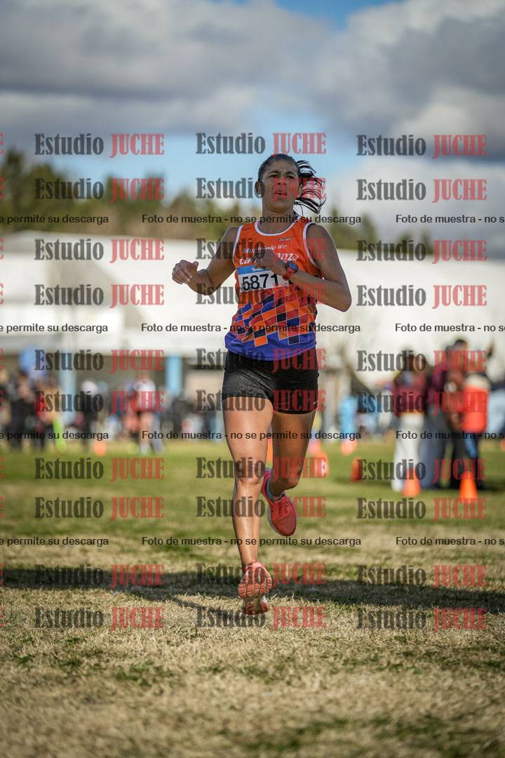 Fotos de las llegadas