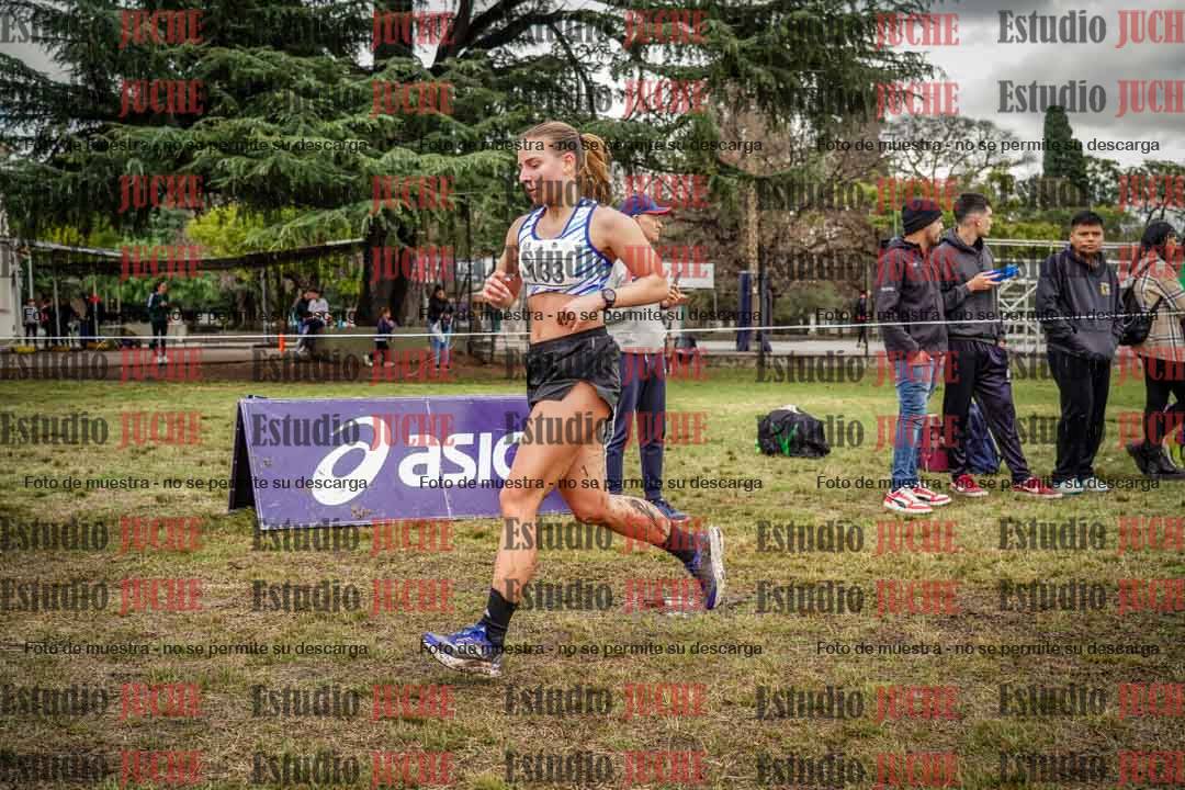 Fotos en el circuito