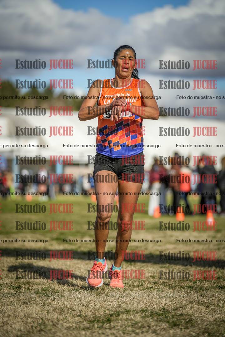 Fotos de las llegadas