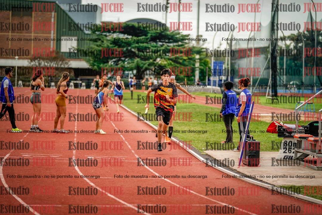 Fotos de los relevos 8x300 m mixtos
