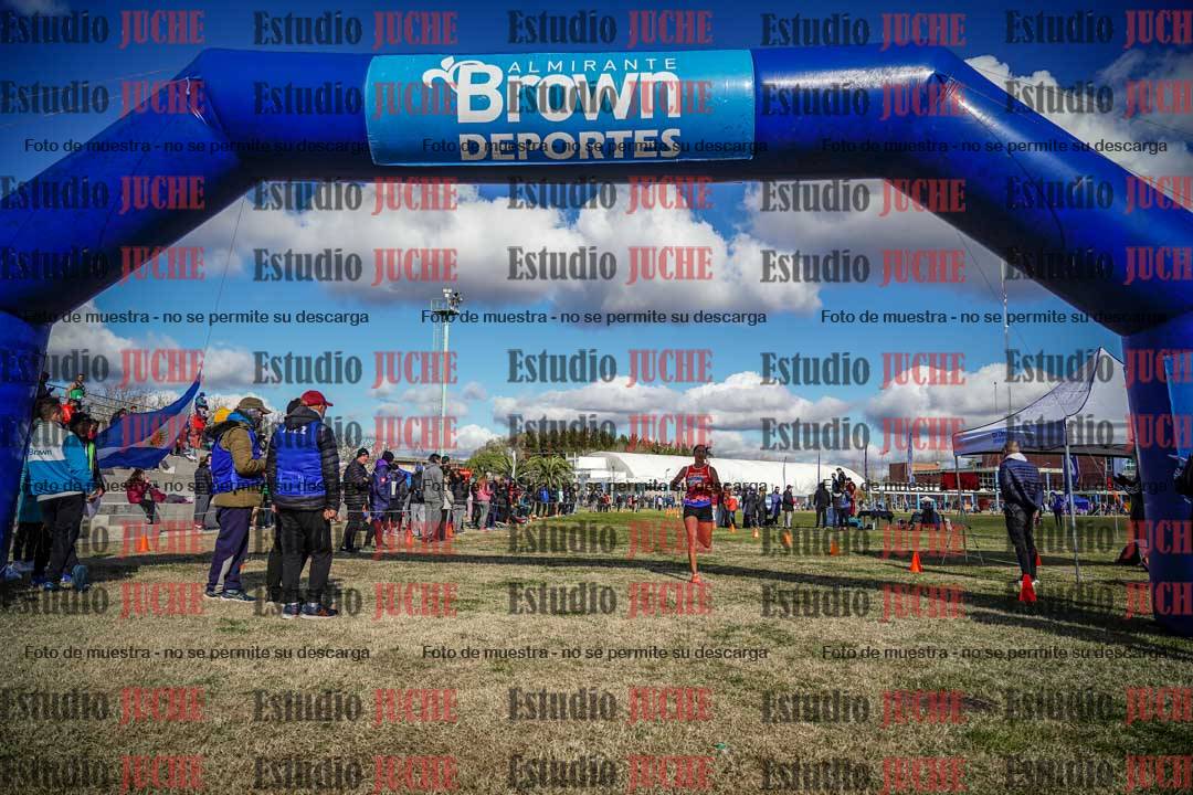 Fotos de las llegadas