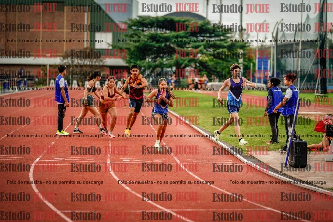 Fotos de los relevos 8x300 m mixtos