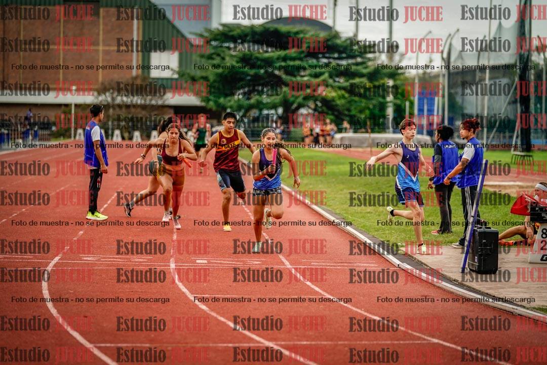 Fotos de los relevos 8x300 m mixtos