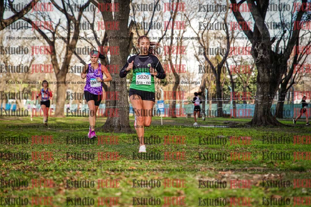Fotos en el circuito