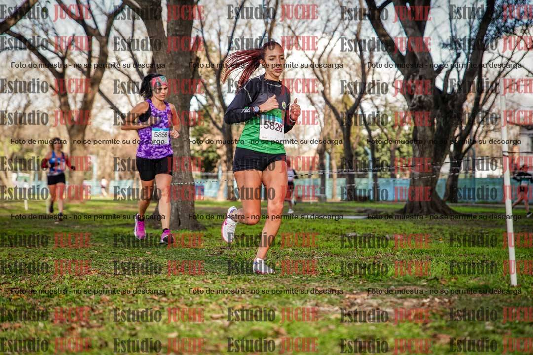 Fotos en el circuito