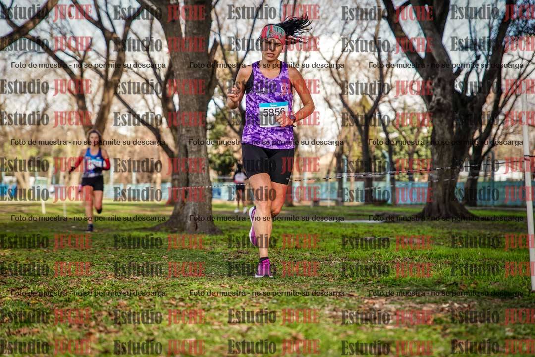 Fotos en el circuito