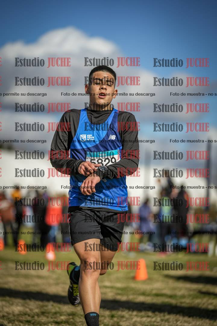 Fotos de las llegadas