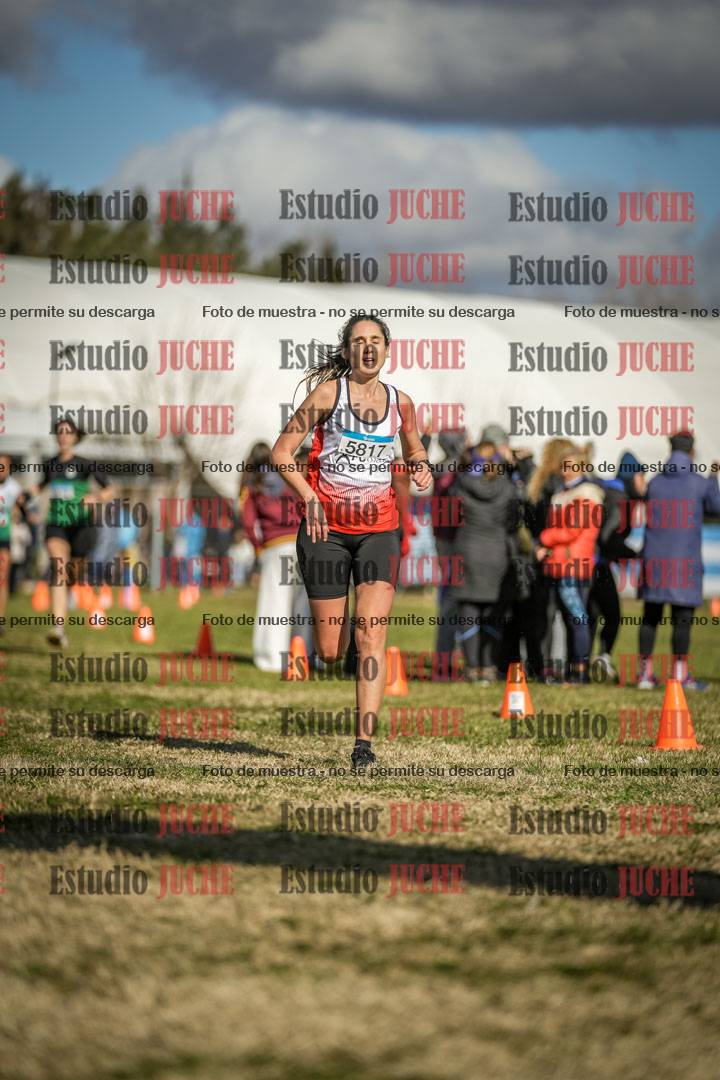 Fotos de las llegadas