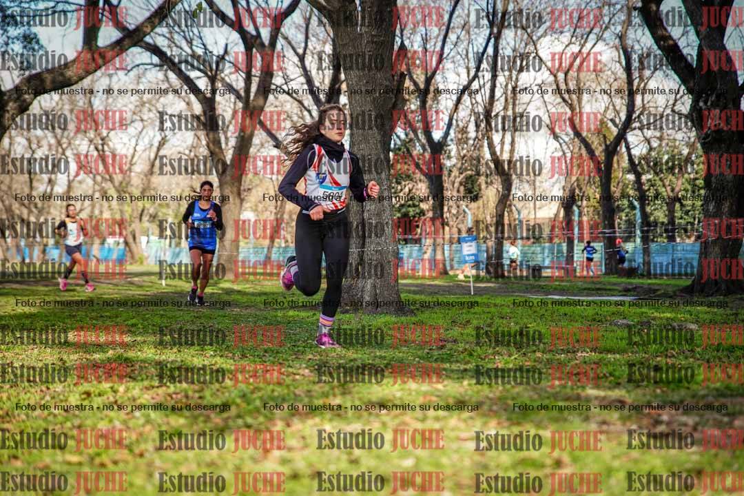 Fotos en el circuito