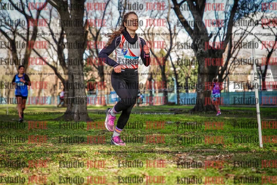 Fotos en el circuito
