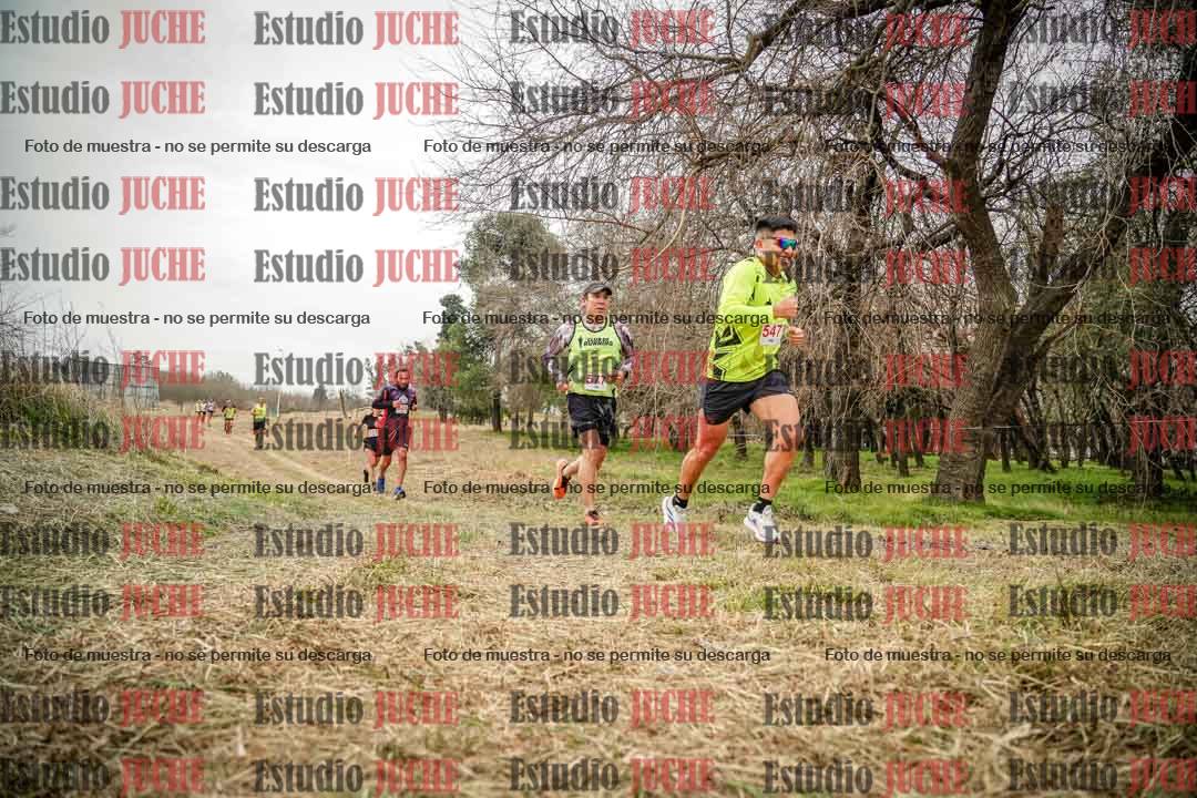 Fotos en el circuito