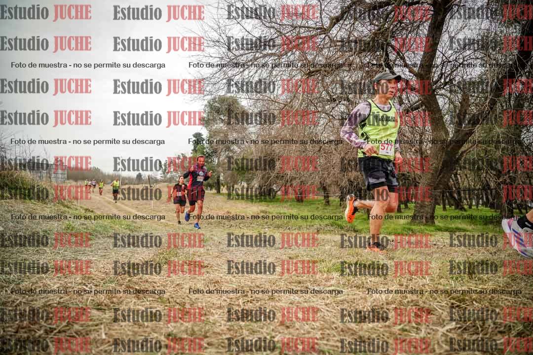 Fotos en el circuito