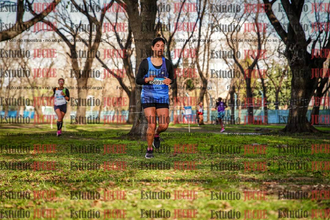 Fotos en el circuito