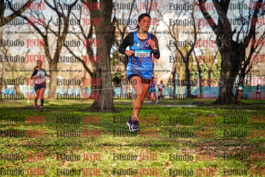 Fotos en el circuito