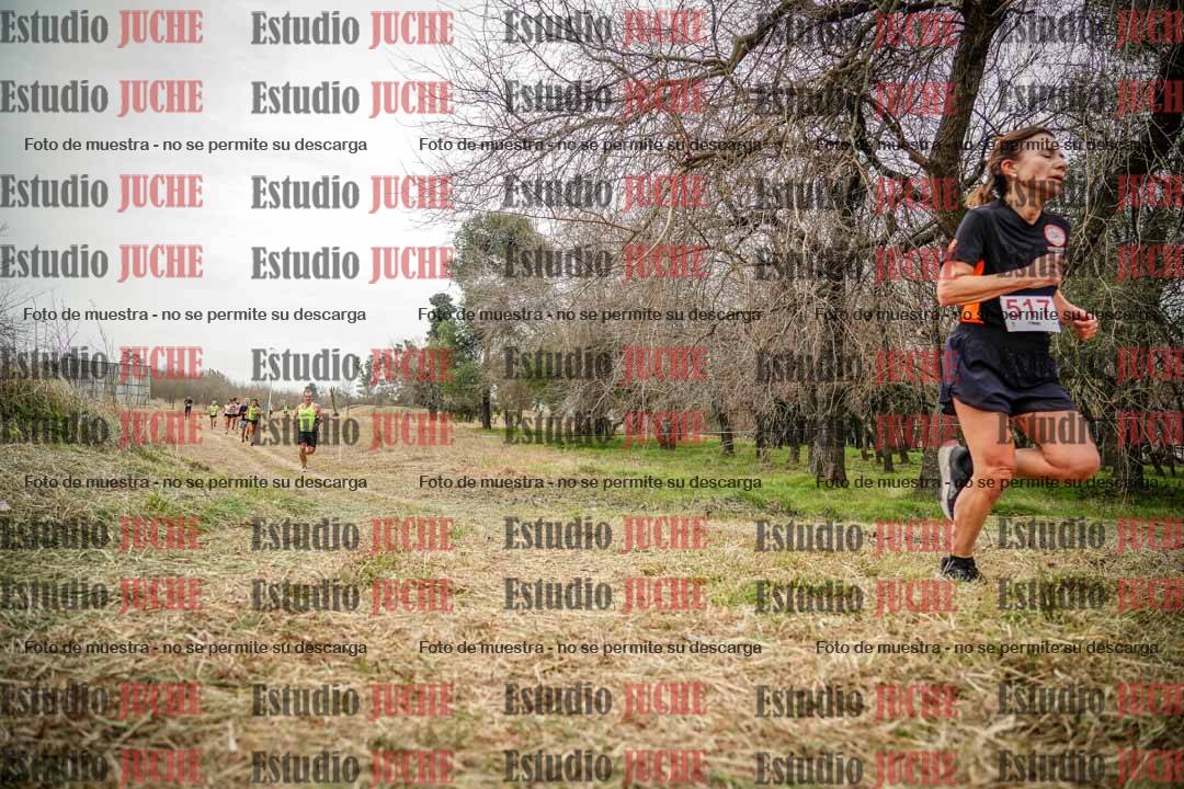 Fotos en el circuito