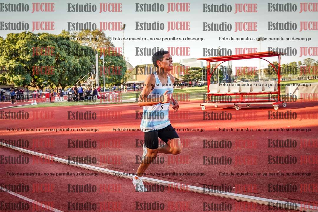 Fotos de los 3000 m llanos de varones