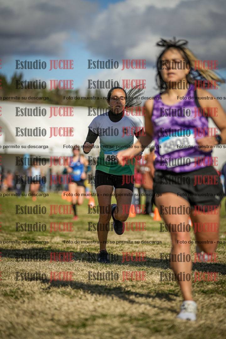 Fotos de las llegadas