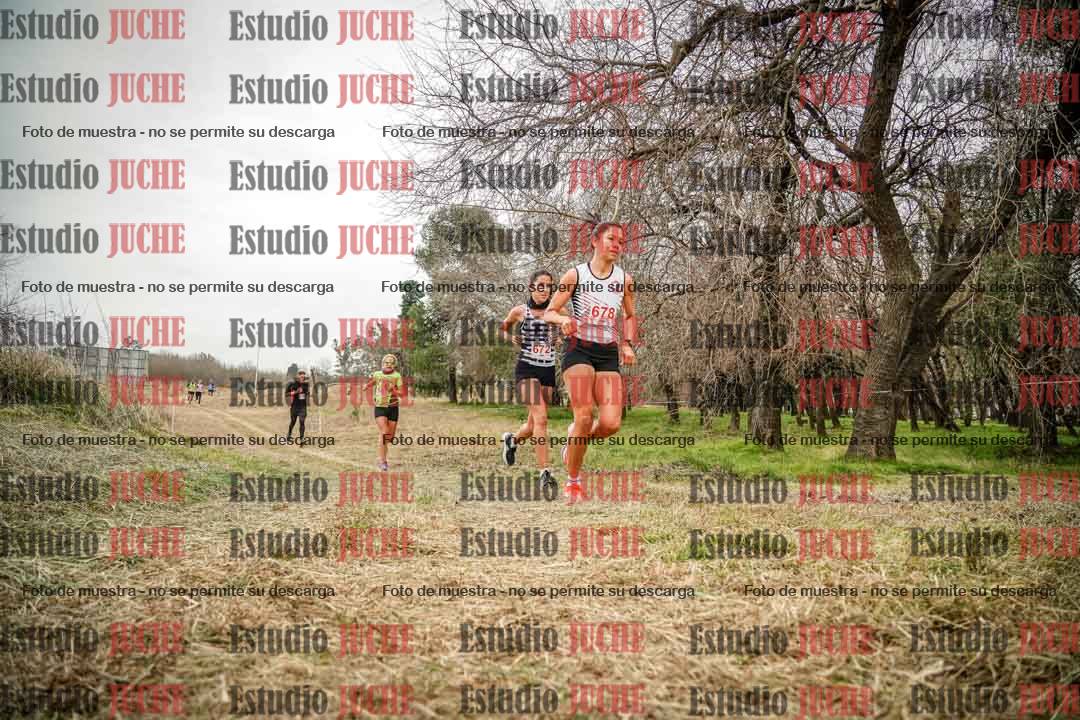 Fotos en el circuito