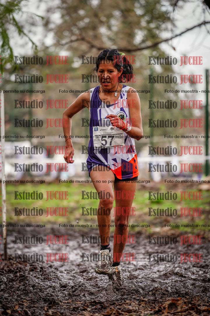Fotos en el circuito