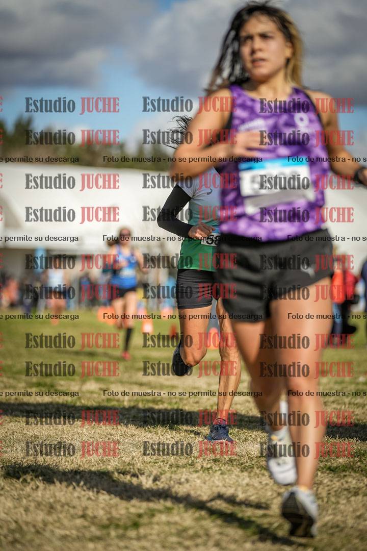Fotos de las llegadas