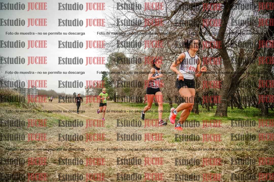 Fotos en el circuito