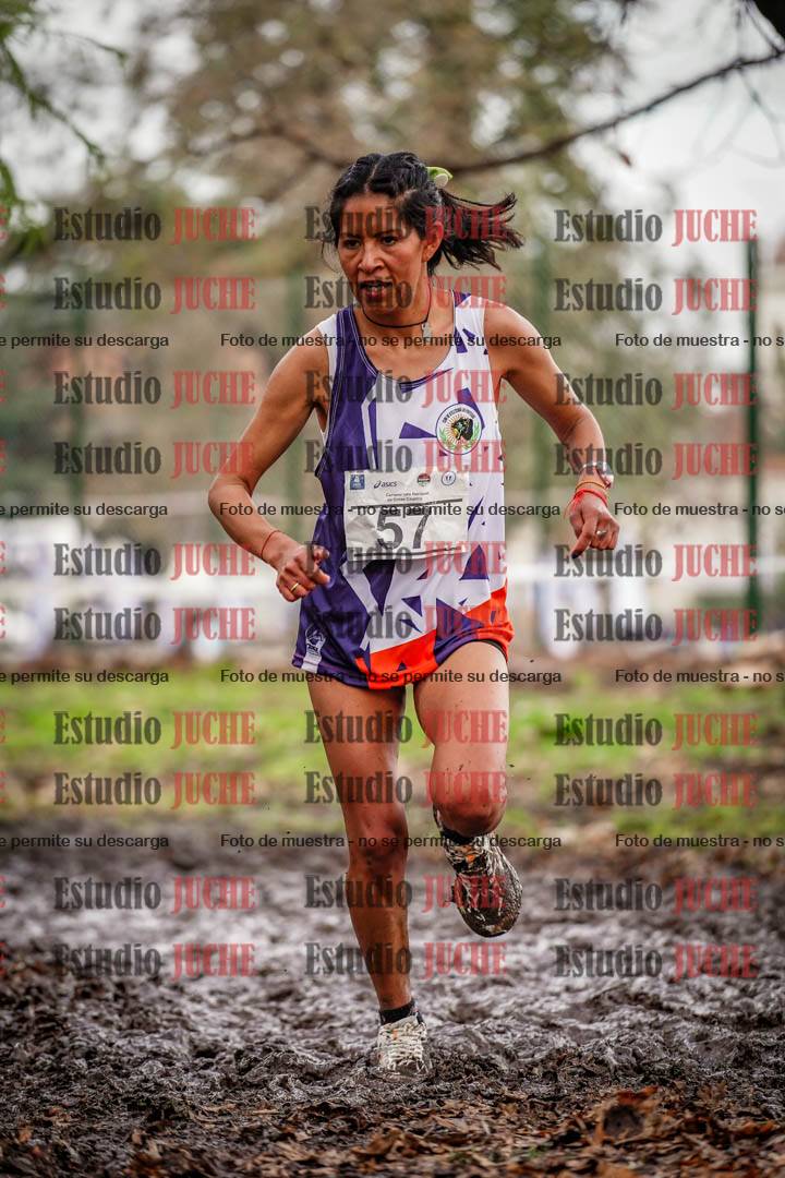 Fotos en el circuito