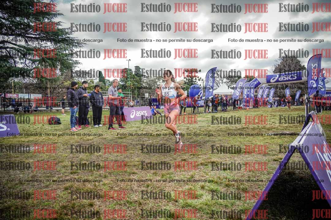 Fotos en el circuito