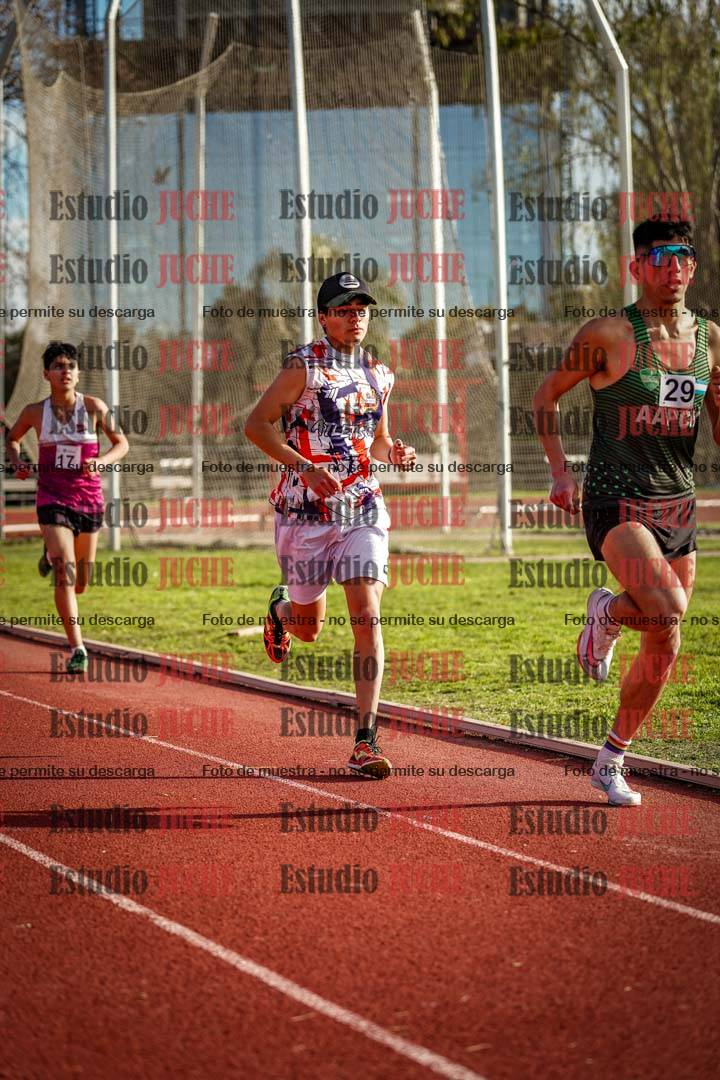 Fotos de los 3000 m llanos de varones
