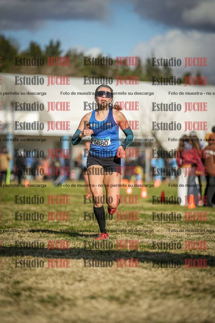 Fotos de las llegadas