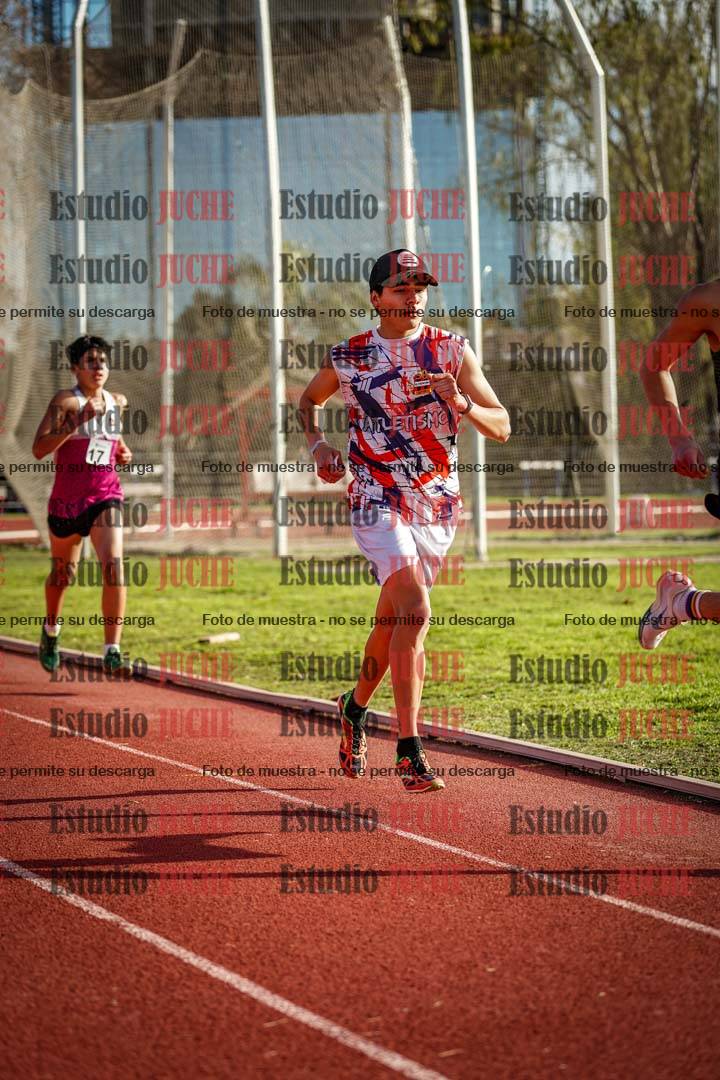 Fotos de los 3000 m llanos de varones