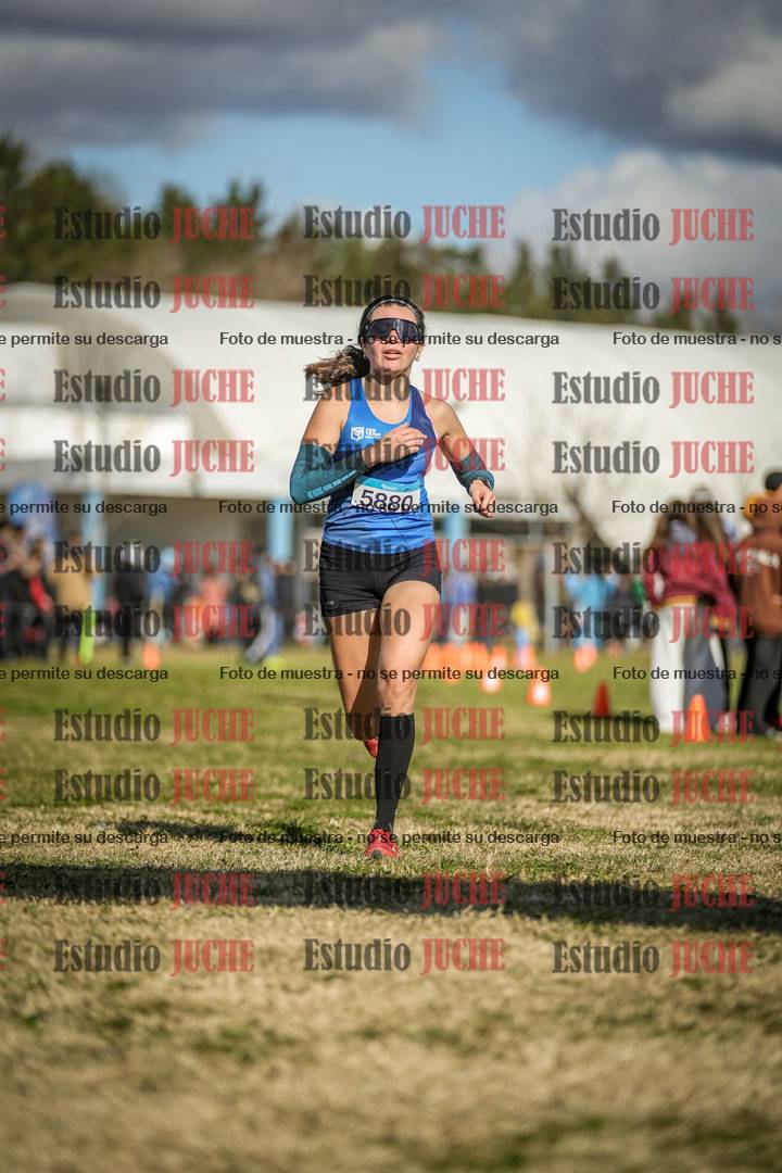 Fotos de las llegadas