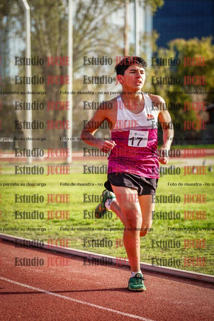 Fotos de los 3000 m llanos de varones