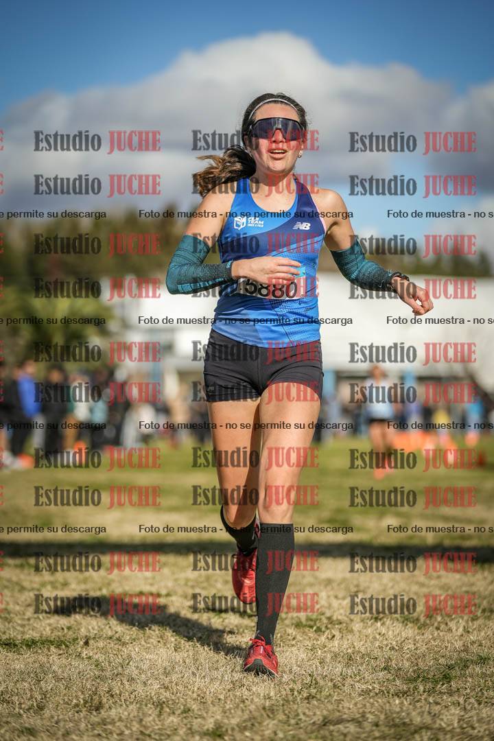 Fotos de las llegadas