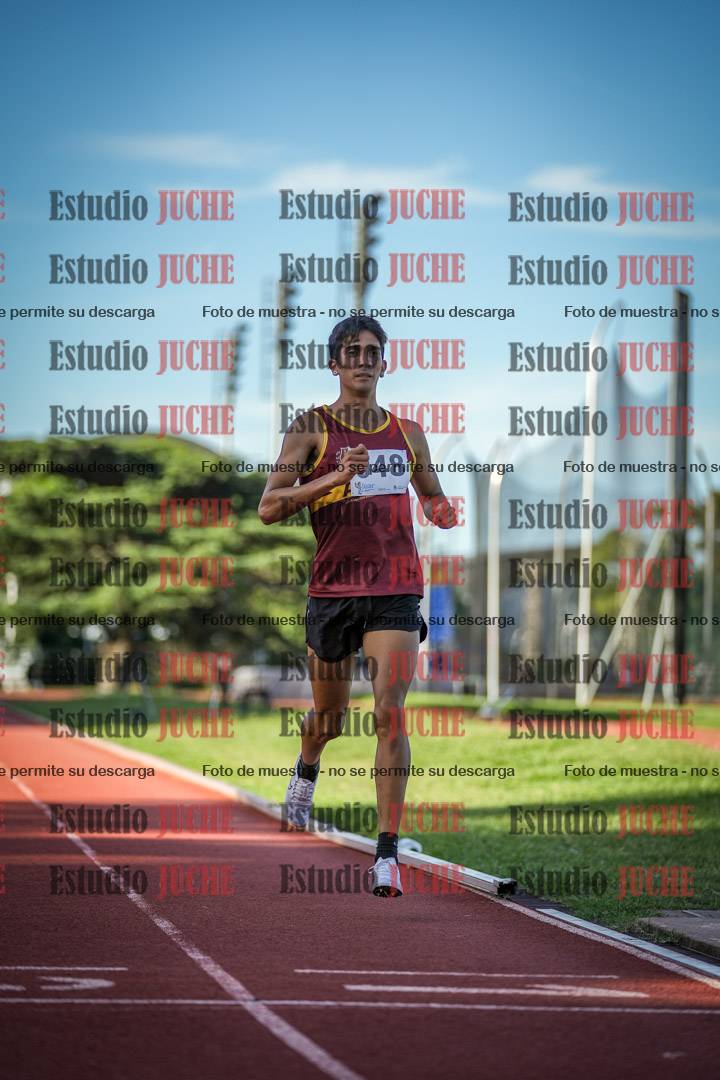 Fotos de los 1500 m llanos de varones