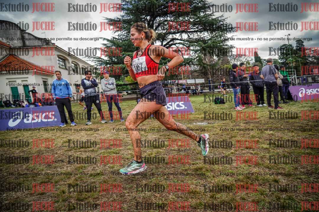 Fotos en el circuito