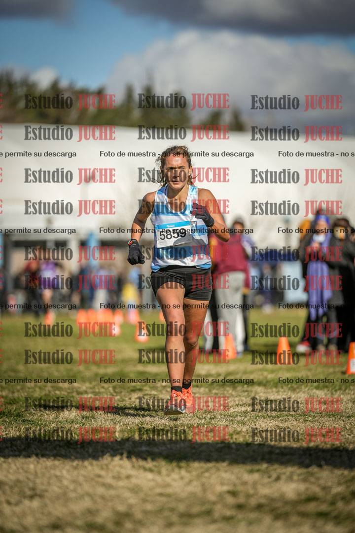 Fotos de las llegadas